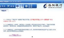 洛阳银行爆料案件最新消息,案情揭秘与调查进展披露