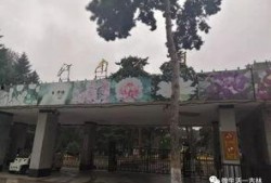 吉林公园爆料视频最新,揭秘公园背后的惊人真相