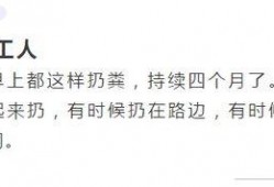 陈小姐最新爆料,揭秘娱乐圈惊天秘密！