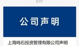 鸣朝外网最新爆料,揭秘最新热点事件内幕