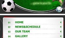 足球俱乐部最新爆料网页,足球俱乐部最新爆料，独家内幕大公开！