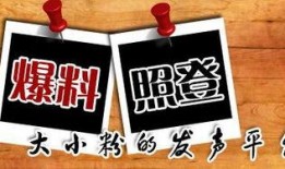 重庆王先生最新爆料,揭秘某神秘事件背后真相