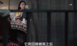 伊静的姐姐最新爆料视频,揭秘惊人内幕！