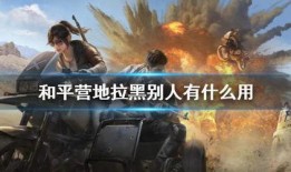 和平精英中转盘下一期最新爆料,下一期神秘内容提前揭晓！