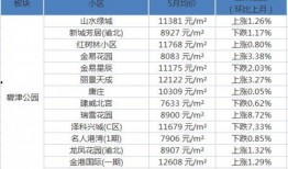 重庆口罩爆料案件最新消息,真相逐步浮出水面