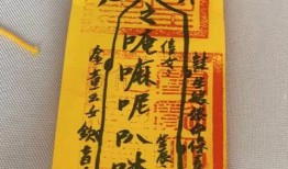 玄符最新爆料图片大全,图片揭秘神秘事件全貌