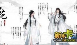 国风伙伴最新爆料视频在线观看,传统与现代的完美融合