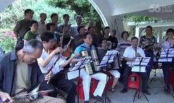 老乐爆料视频大全集最新,揭秘娱乐圈幕后真相，热点事件深度解析