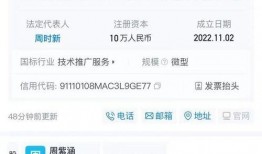 天天最新新闻爆料网站大全,天天最新新闻爆料网站大全，一网打尽全网热点资讯