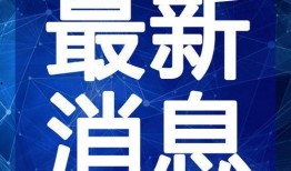 流氓大亨爆料视频大全最新,揭秘黑幕与真相