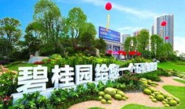 碧桂园爆料最新消息恩平,揭秘未来城市生活新篇章”