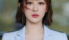 杨紫家世爆料视频大全最新,揭秘明星背后的家族背景