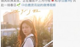 最新爆料白鹿1月行程,穿梭各大城市，精彩活动不断