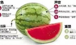 最新微信吃瓜爆料,揭秘娱乐圈最新热点事件！