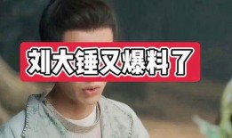 刘大锤最新爆料2023