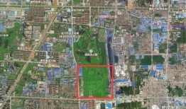 临沂都市爆料最新消息,揭秘神秘事件背后的真相