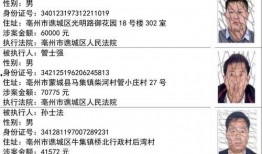 天津爆料人刑拘名单最新,揭秘背后真相与争议
